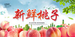 新鲜桃子