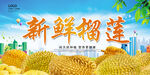 新鲜榴莲