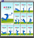 排球