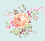 玫瑰花