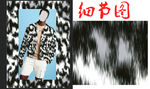 豹纹