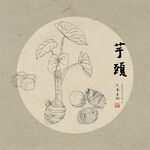 手绘芋头