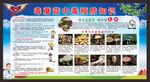 健康教育宣传栏
