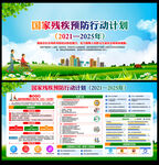 国家残疾预防行动计划