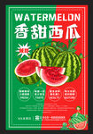西瓜海报