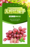 红提子海报