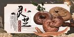 灵芝