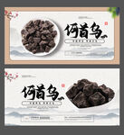 何首乌海报