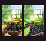 桑葚