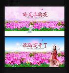 杜鹃花