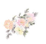 手绘高清花卉