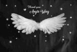天使翅膀 白色天使