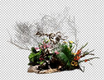 花艺