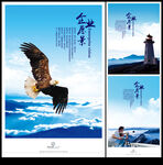 鹰击长空