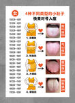 四种不同类型的小肚子