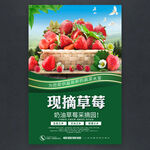 现摘草莓海报