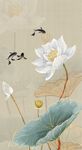 荷花玄关