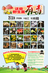 认识毒蘑菇