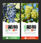葡萄