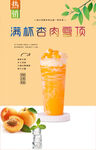 满杯杏肉雪顶