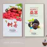 树莓 桑葚