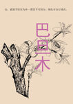 巴旦木线描