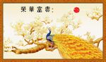 荣华富贵孔雀图