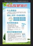 牙齿保健知识