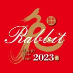 兔年矢量海报