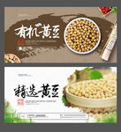 黄豆