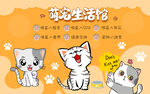 萌宠猫咪生活馆设计