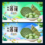莲蓬