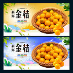 金桔