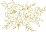 矢量牡丹花