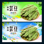 芸豆