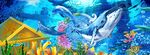 海洋世界高清