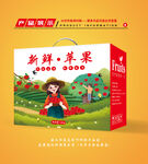 苹果包装 苹果礼盒