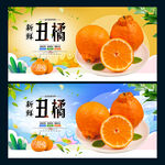 丑橘