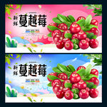 蔓越莓
