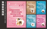 宠物SPA 宣传套餐