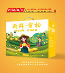 柚子包装 柚子礼盒