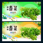 香菜