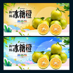 冰糖橙