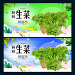 生菜