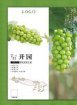 葡萄
