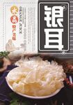 银耳