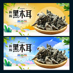 黑木耳
