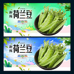 荷兰豆