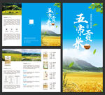 五常大米促销宣传三折页