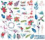 冬季圣诞花卉